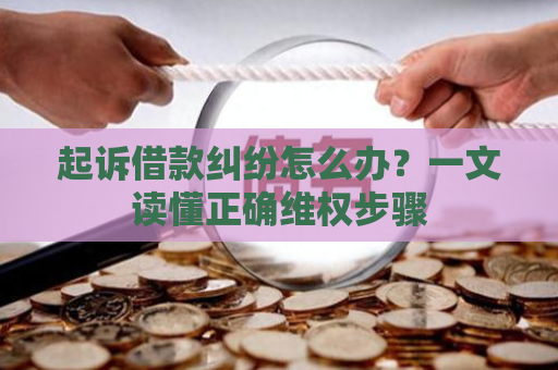 起诉借款纠纷怎么办？一文读懂正确维权步骤