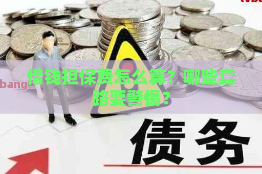 借钱担保费怎么算？哪些套路要警惕？